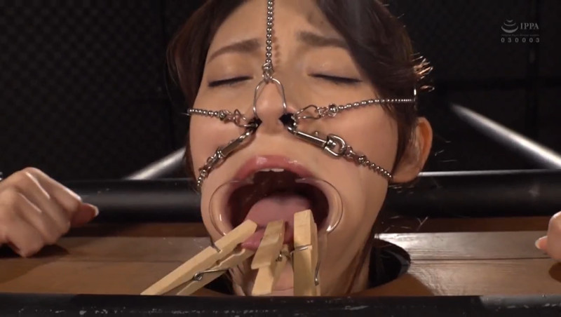 森沢かな 3点鼻フック 開口器 洗濯バサミ2