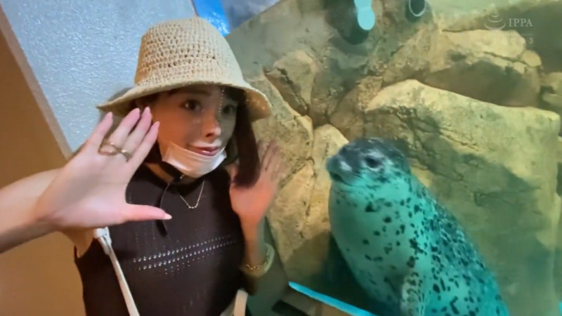 しおかわ雲丹 鼻フック 水族館