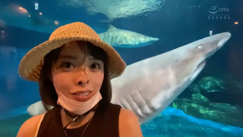 しおかわ雲丹 鼻フック 水族館2