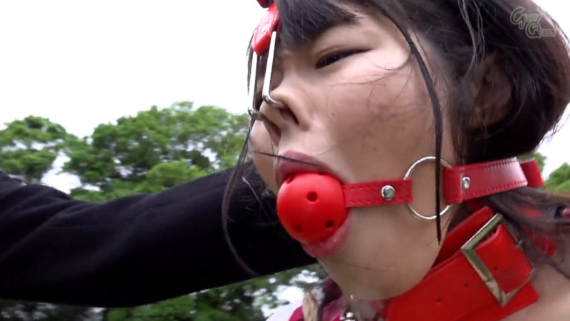 八森わか菜 野外 鼻フック ボールギャグ4