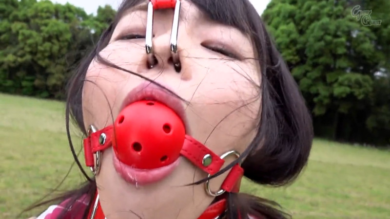 八森わか菜 野外 鼻フック ボールギャグ8